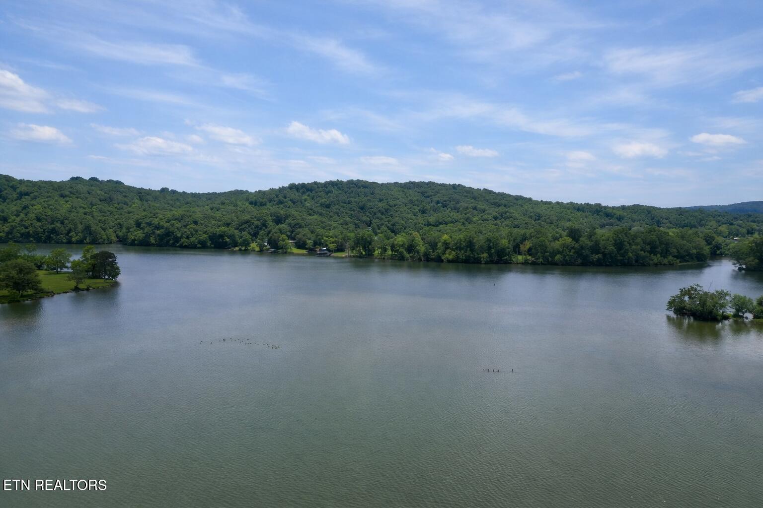 440 Swan Pond Cir Road Harriman, TN 37748 - Photo 6 of 17 Aerial LakeView Swan Pond