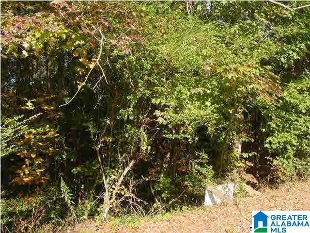 Choccolocco Road, Unit 2 43 Anniston, AL 36201 - Photo 2 of 10