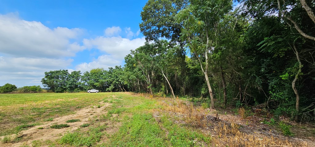10.69-acres Summer Road Slocomb, AL 36375 - Photo 22 of 51