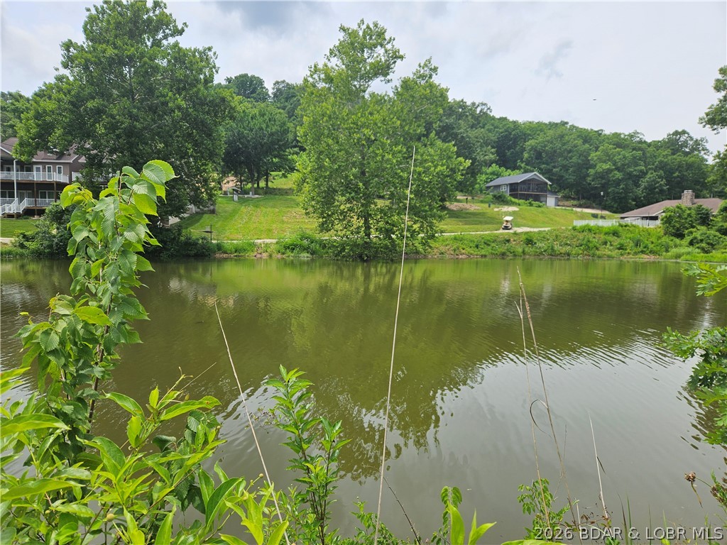 Nautica Road Camdenton, MO 65020 - Photo 3 of 7