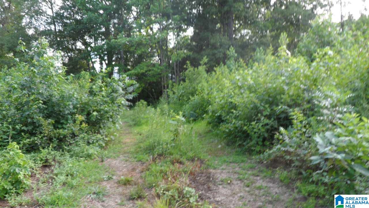 554 Cobb Road Oxford, AL 36203 - Photo 20 of 22
