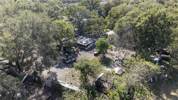 a view of a yard with plants and trees