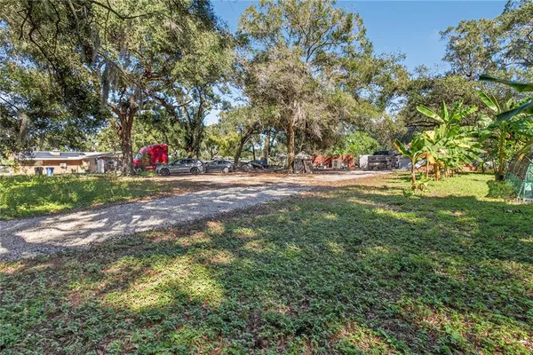 a view of a backyard with a tree