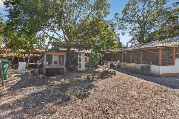a view of a yard with plants and trees
