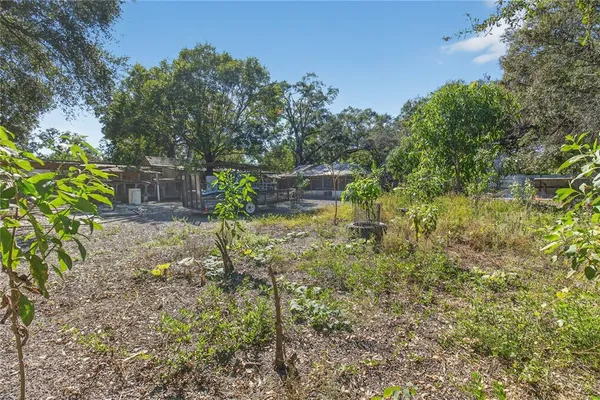 a view of a backyard with large trees