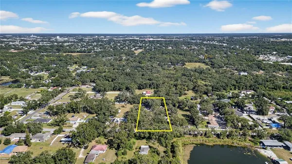 a view of a forest with trees