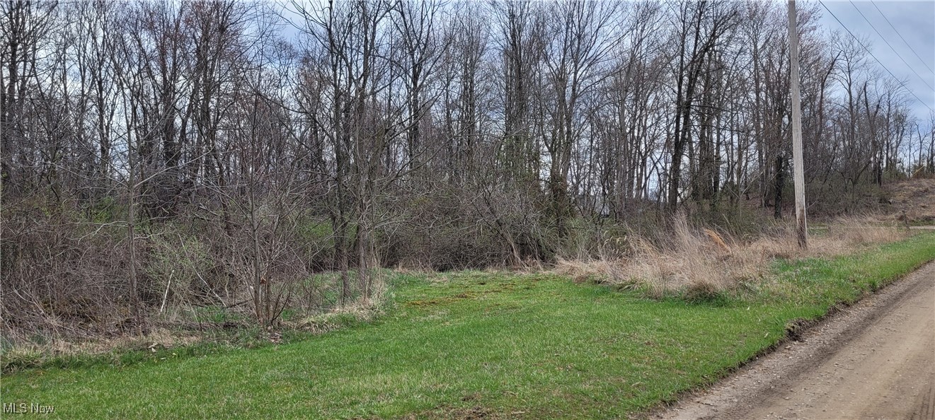 Bethel Road Newcomerstown, OH 43832 - Photo 2 of 21 Gallery Image 2