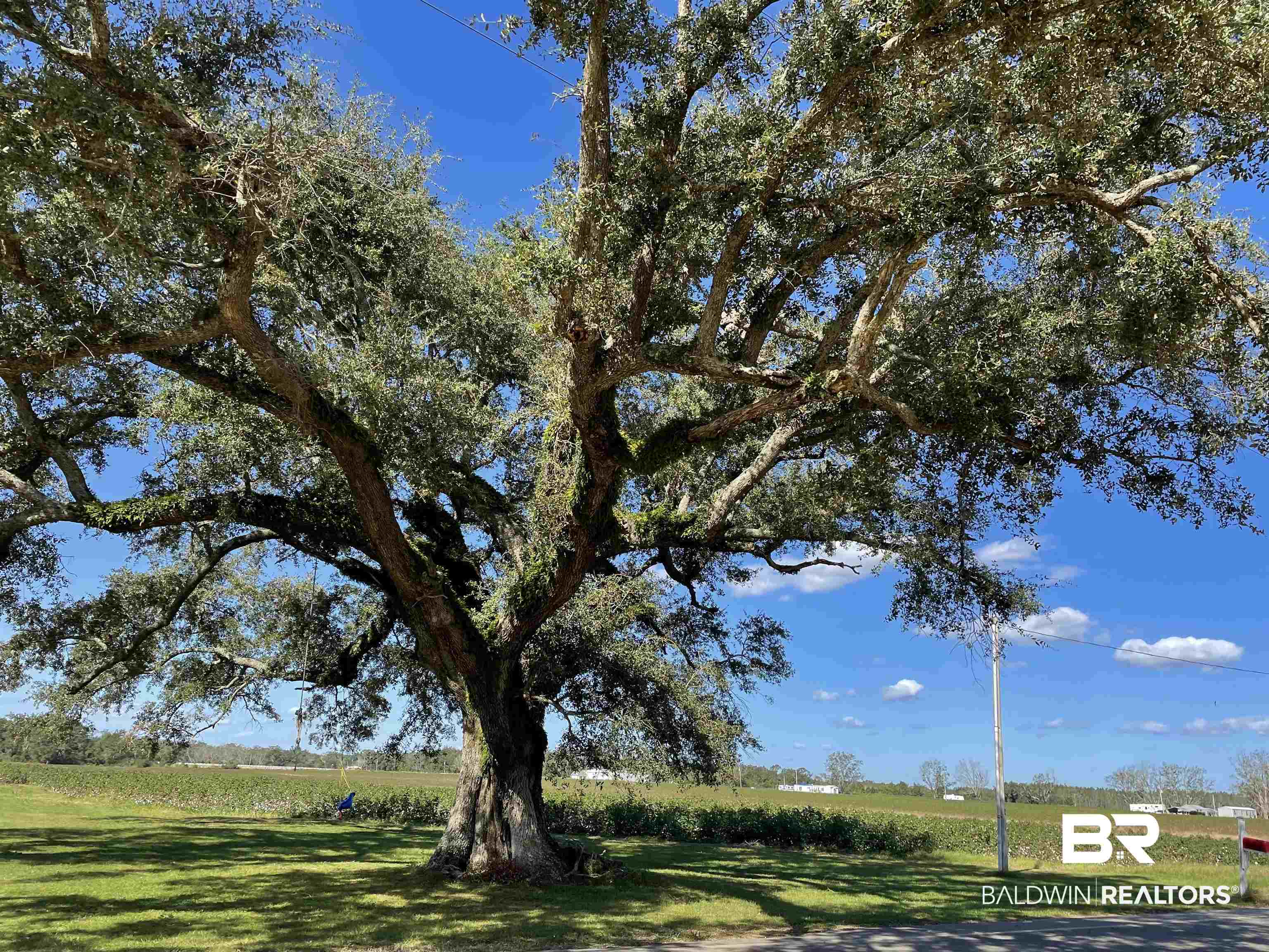 15259 Bay Road East Foley, AL 36535 - Photo 1 of 6