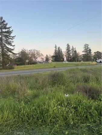 a view of a big yard and large trees