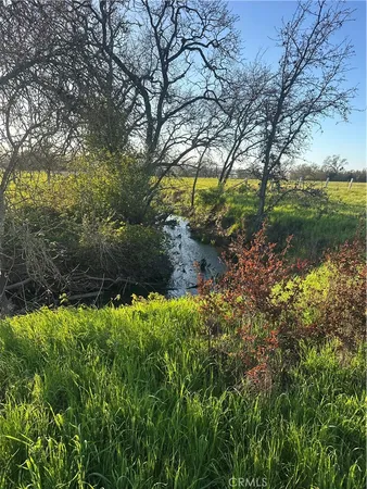 a view of a field of grass and trees