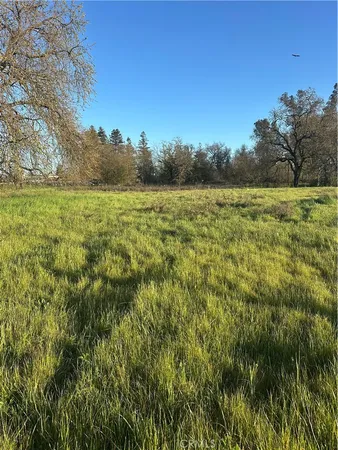 a view of a field with an ocean