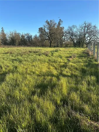 a view of a lake in a field
