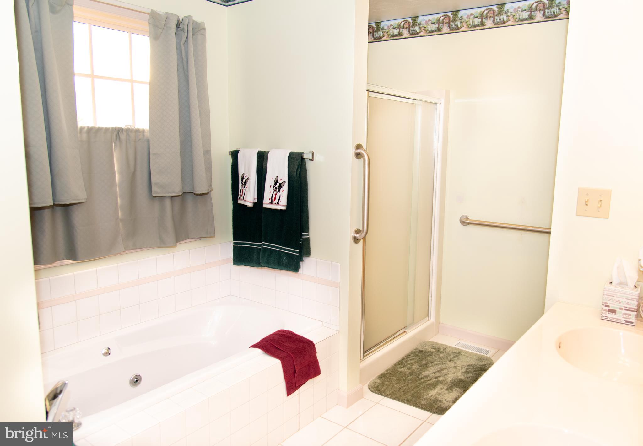 2165 Harney Road Littlestown, PA 17340 - Photo 24 of 54 PB bath jetted tub, shower stall, double sinks