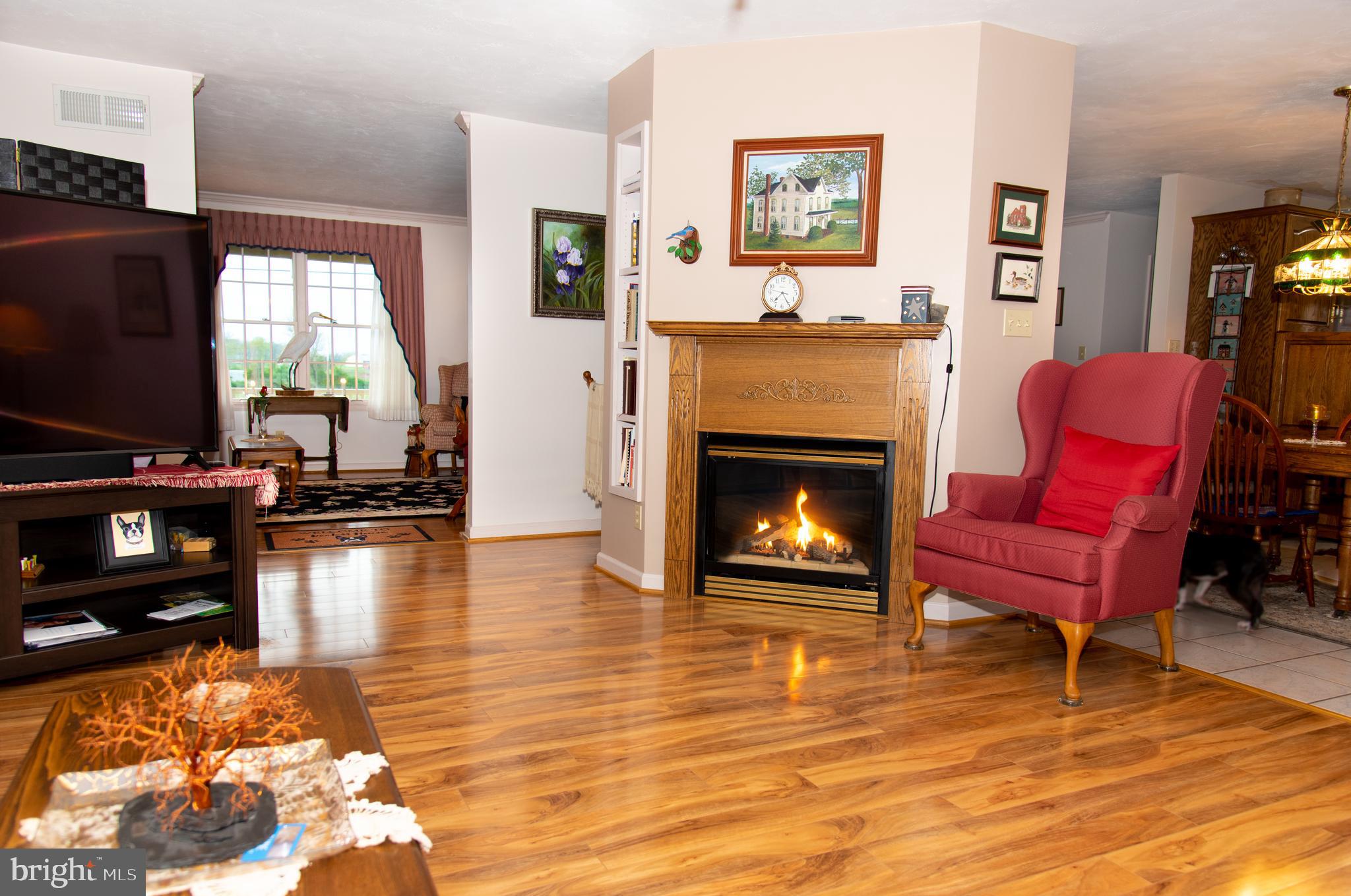 2165 Harney Road Littlestown, PA 17340 - Photo 34 of 54 Family Room w/ gas fireplace