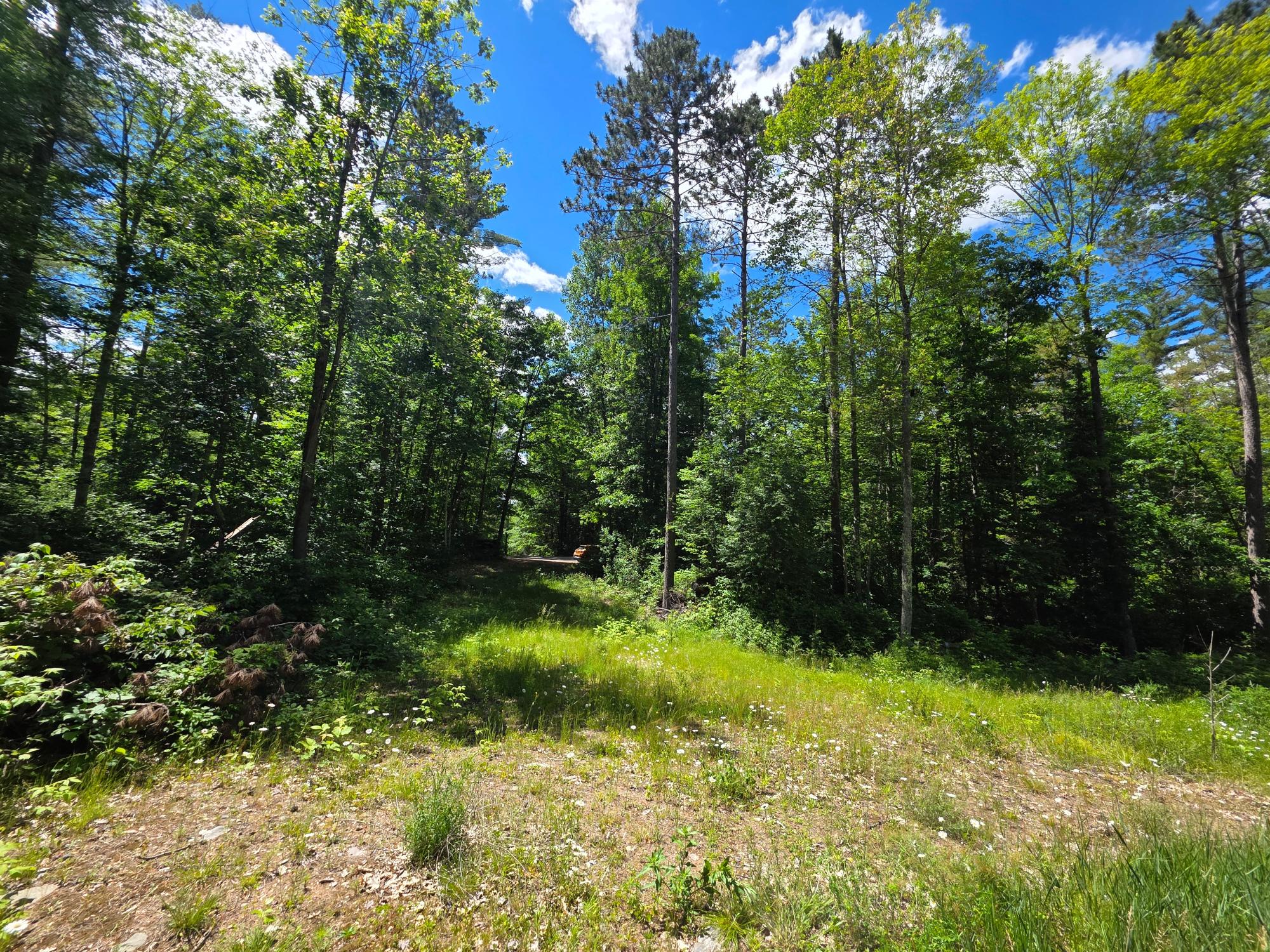 N11478 Cottage Road Tomahawk, WI 54487 - Photo 14 of 27 Gallery Image 14
