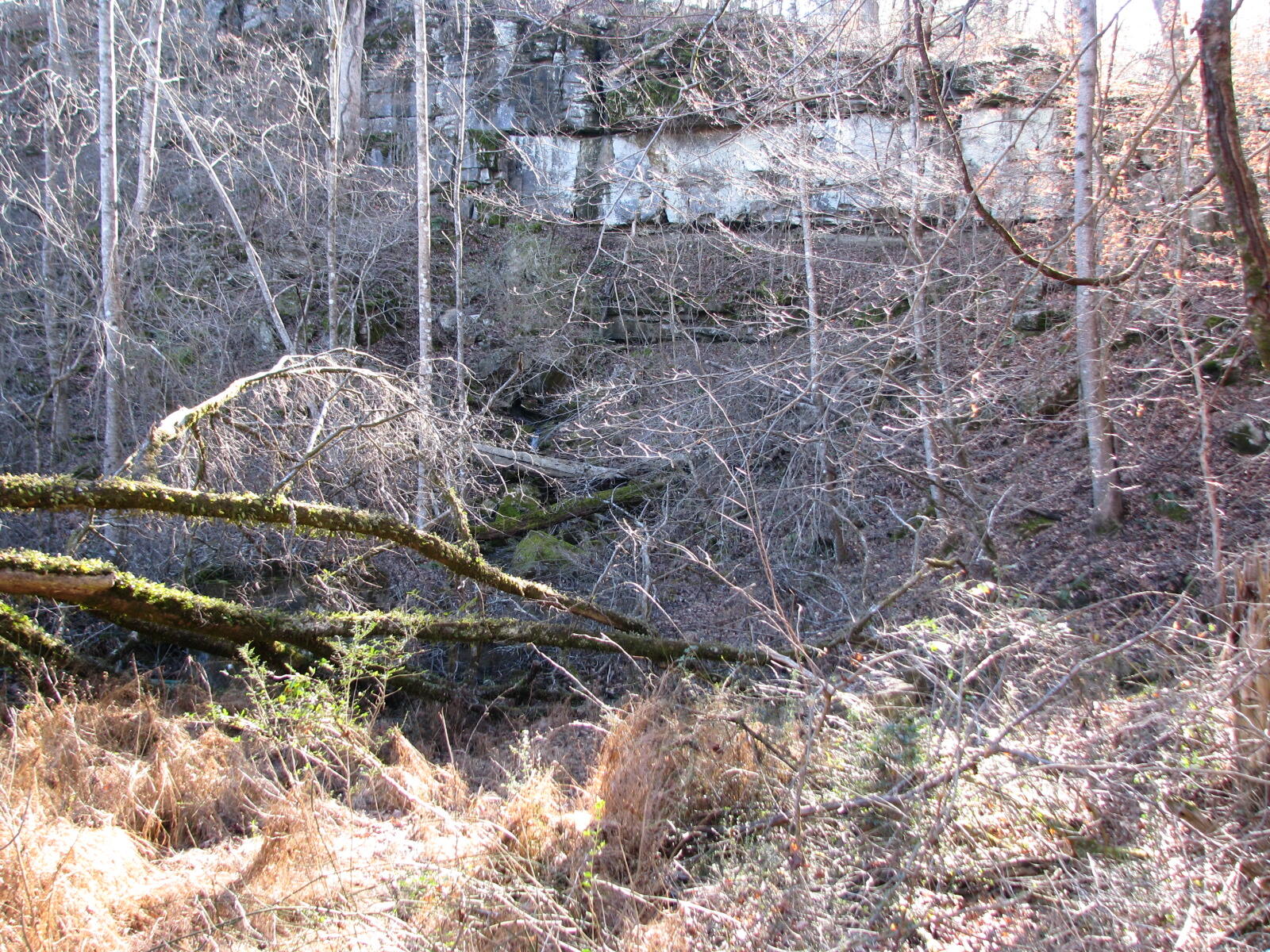 691 Summertown Road Jasper, TN 37347 - Photo 12 of 29 IMG_0933