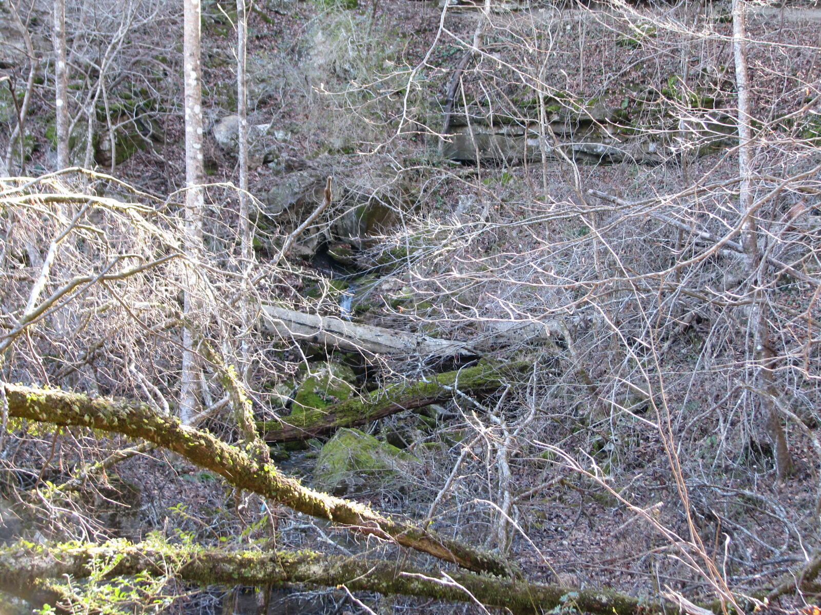 691 Summertown Road Jasper, TN 37347 - Photo 13 of 29 IMG_0934