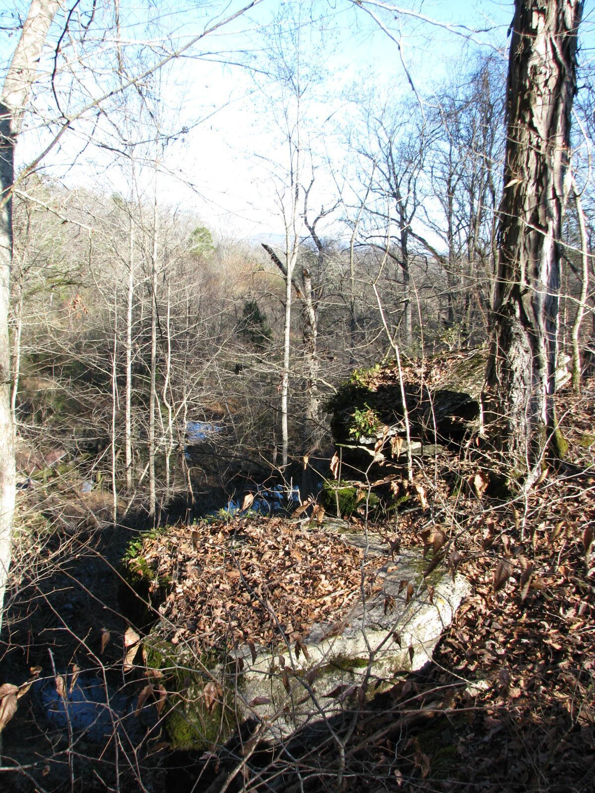 691 Summertown Road Jasper, TN 37347 - Photo 17 of 29 IMG_0940