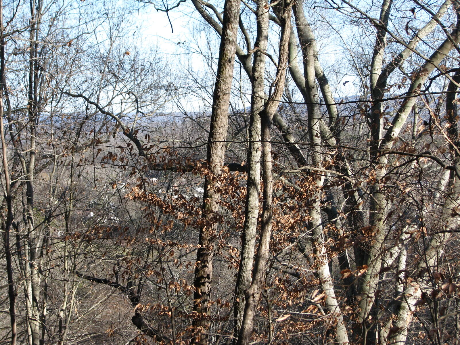 691 Summertown Road Jasper, TN 37347 - Photo 21 of 29 IMG_0944