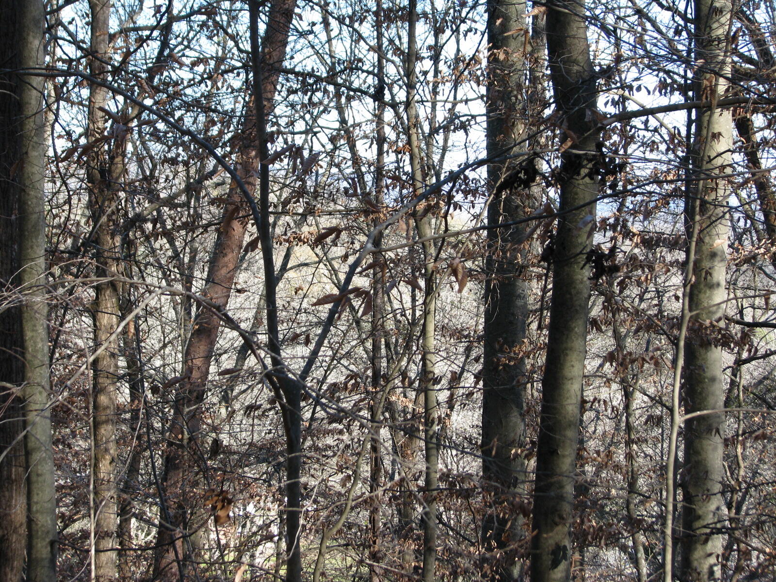 691 Summertown Road Jasper, TN 37347 - Photo 26 of 29 IMG_0949