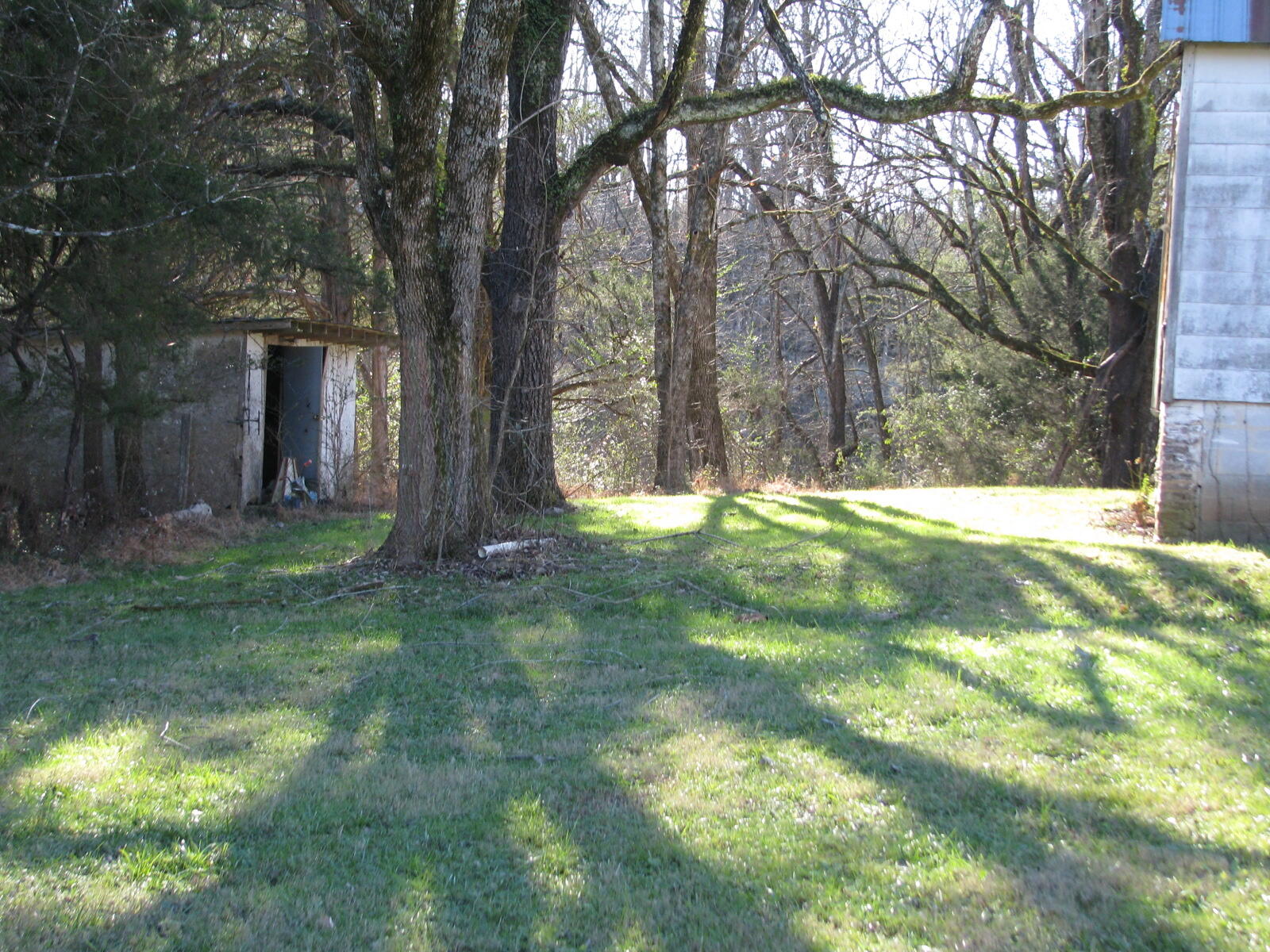 691 Summertown Road Jasper, TN 37347 - Photo 6 of 29 IMG_0919