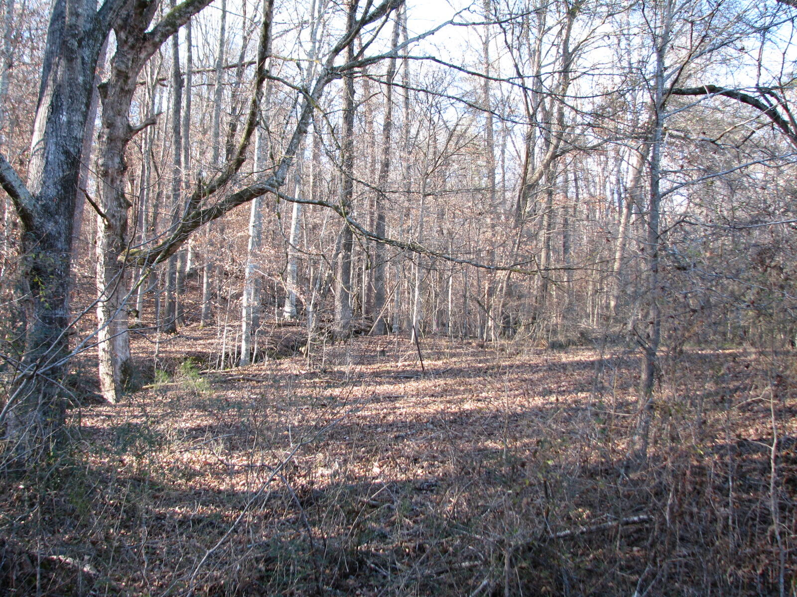 691 Summertown Road Jasper, TN 37347 - Photo 9 of 29 IMG_0929