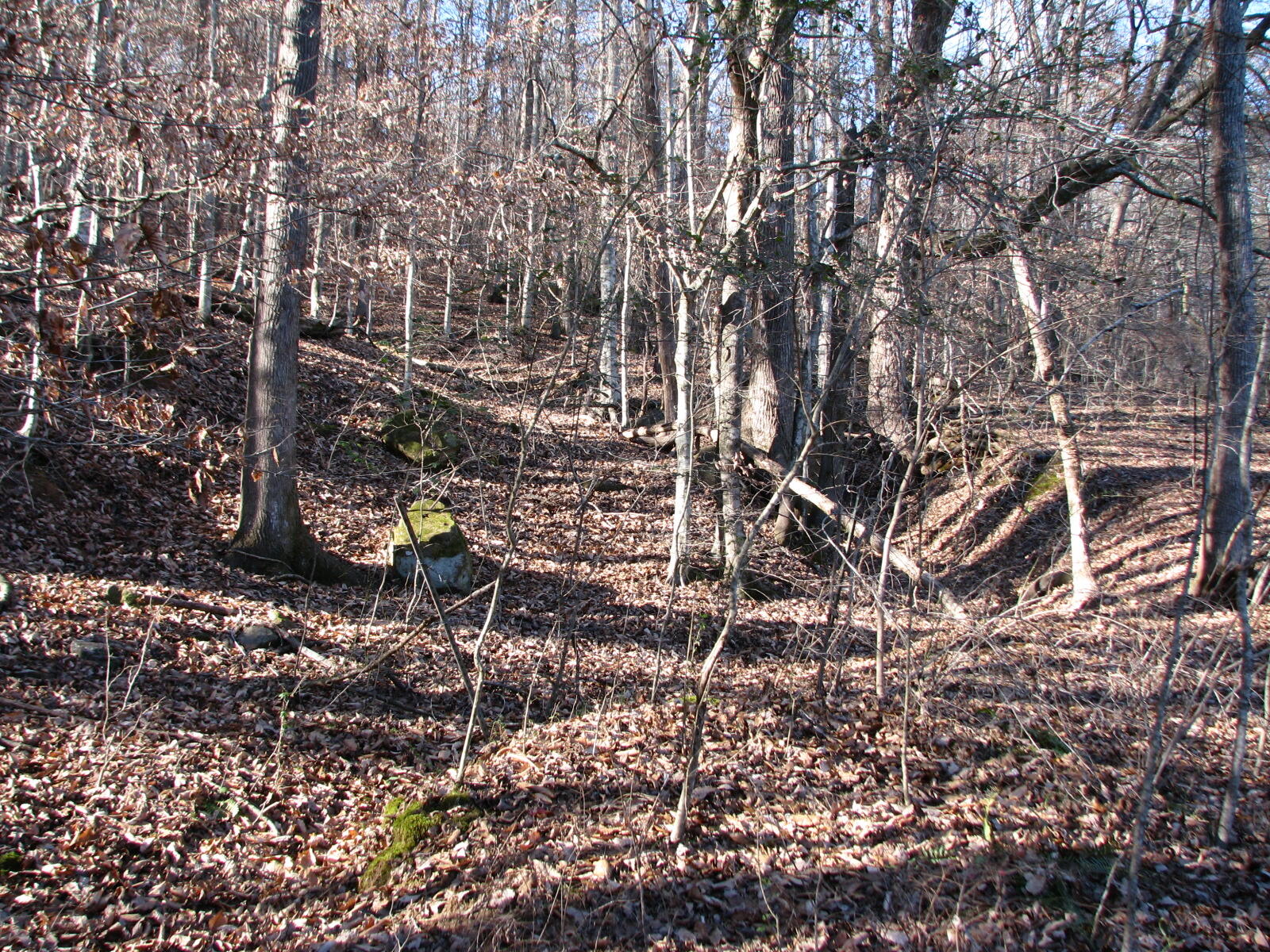 691 Summertown Road Jasper, TN 37347 - Photo 10 of 29 IMG_0931