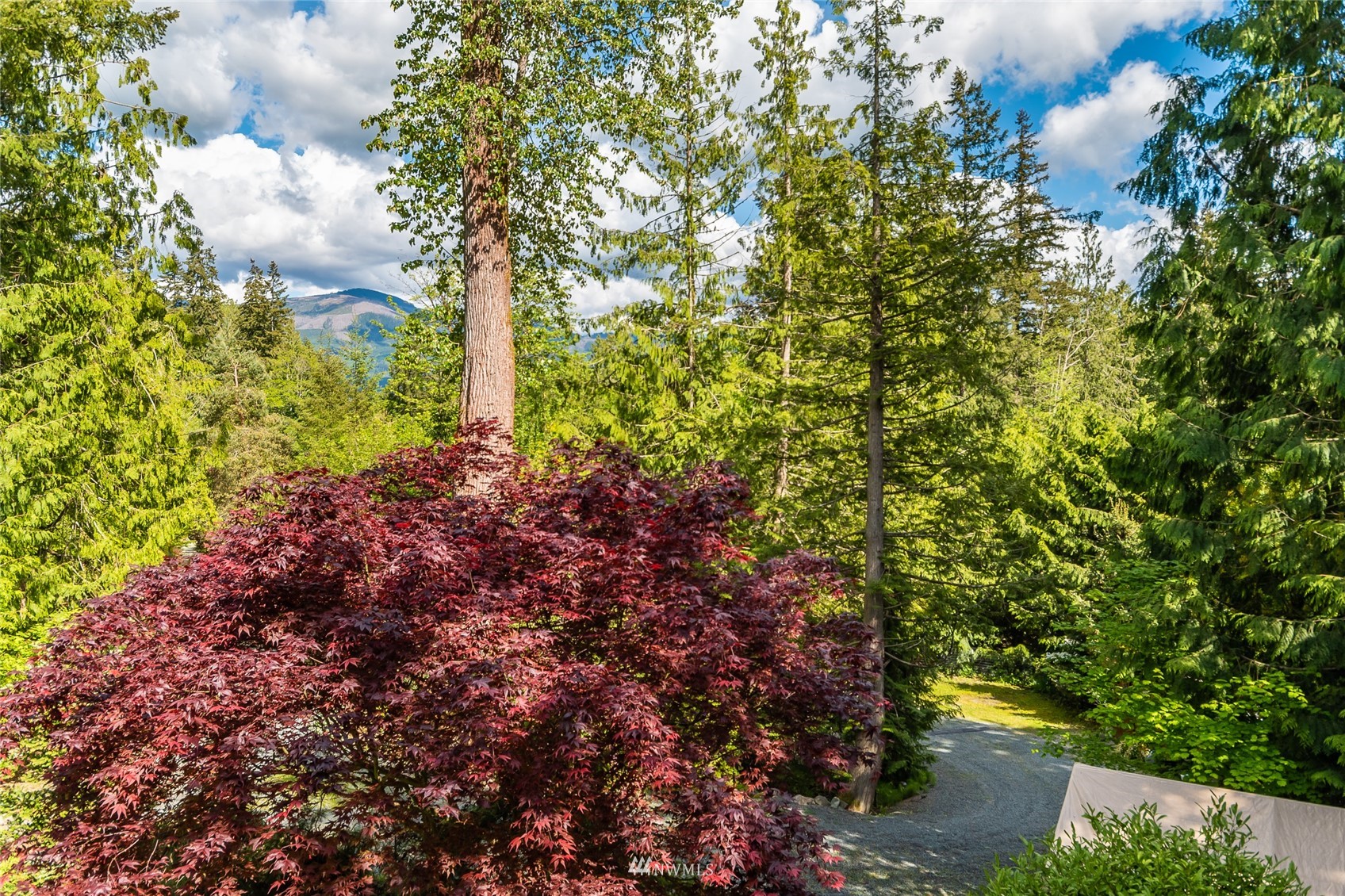 15724 Mountain View Road Mount Vernon, WA 98274 - Photo 28 of 40 Gallery Image 28