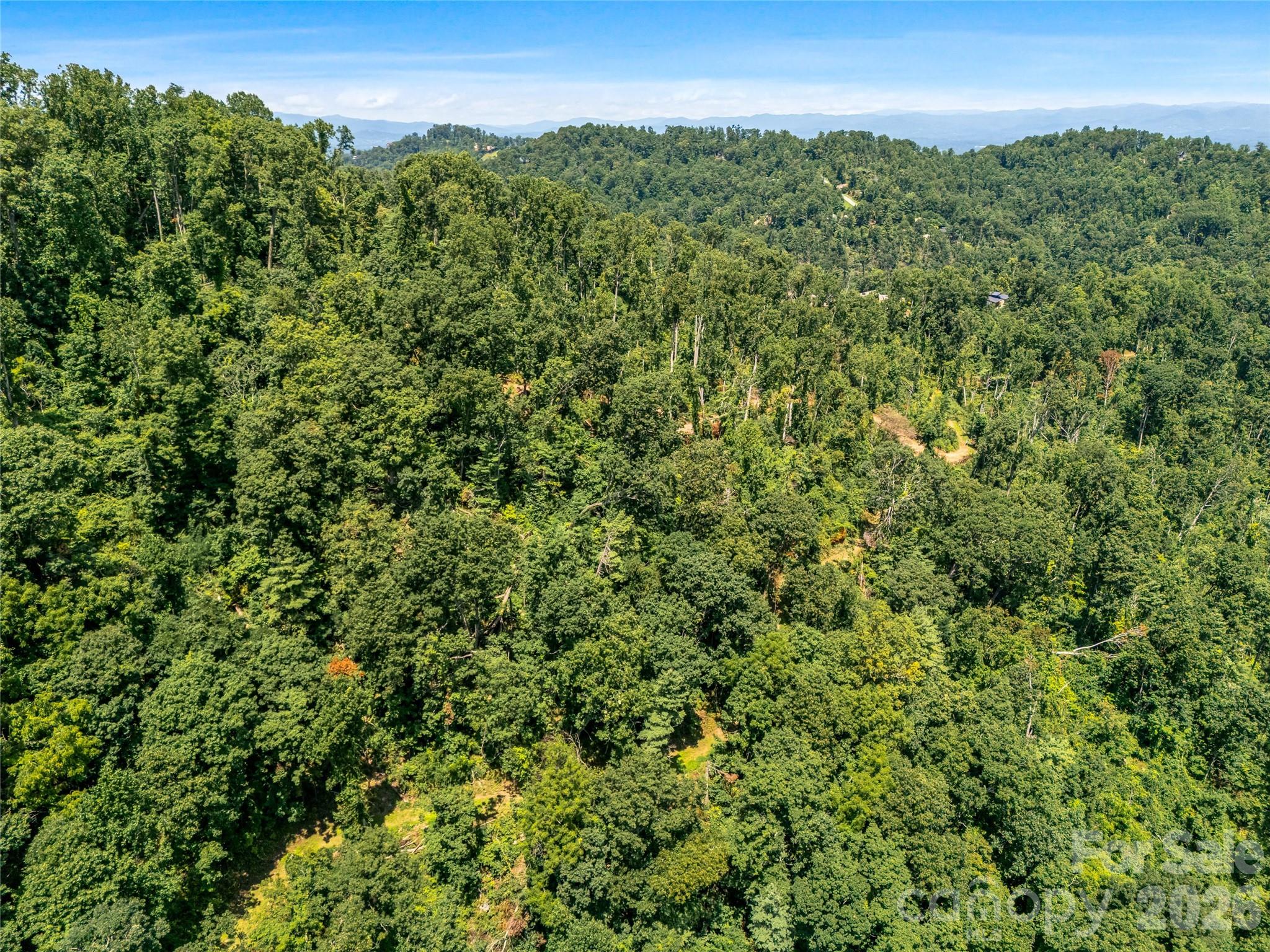 Tbd Robinhood Road, Unit 2 Asheville, NC 28804 - Photo 24 of 38 Gallery Image 24