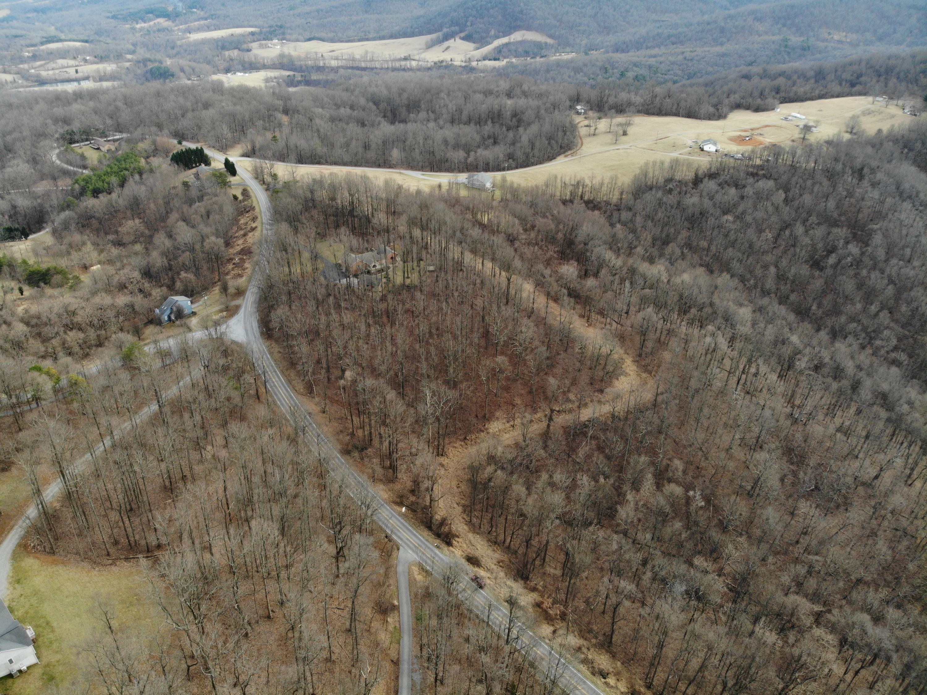 0 Archway Road Blue Ridge, VA 24064 - Photo 4 of 13 a view of a dry yard
