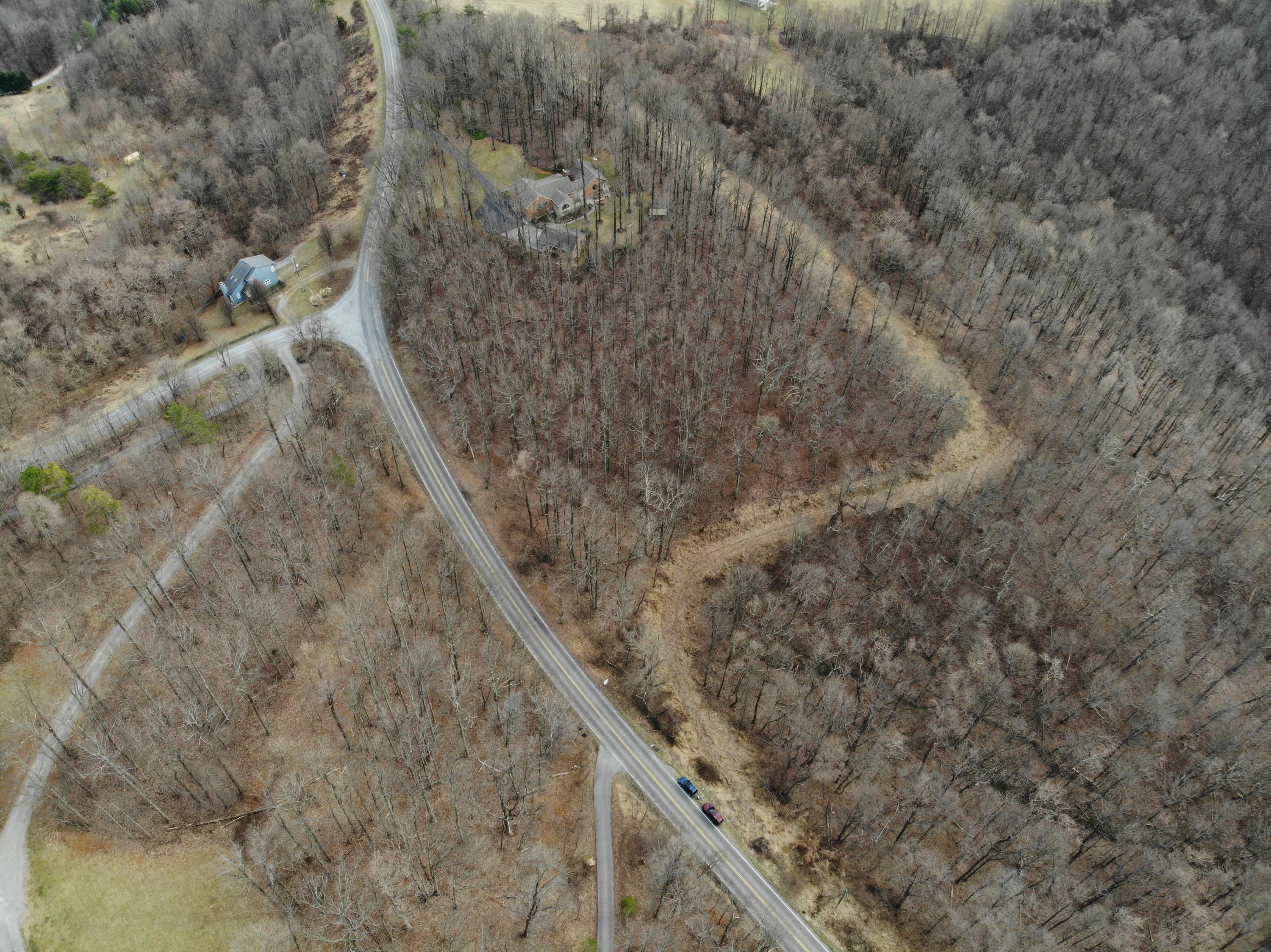 0 Archway Road Blue Ridge, VA 24064 - Photo 5 of 13 a view of a dry yard with trees