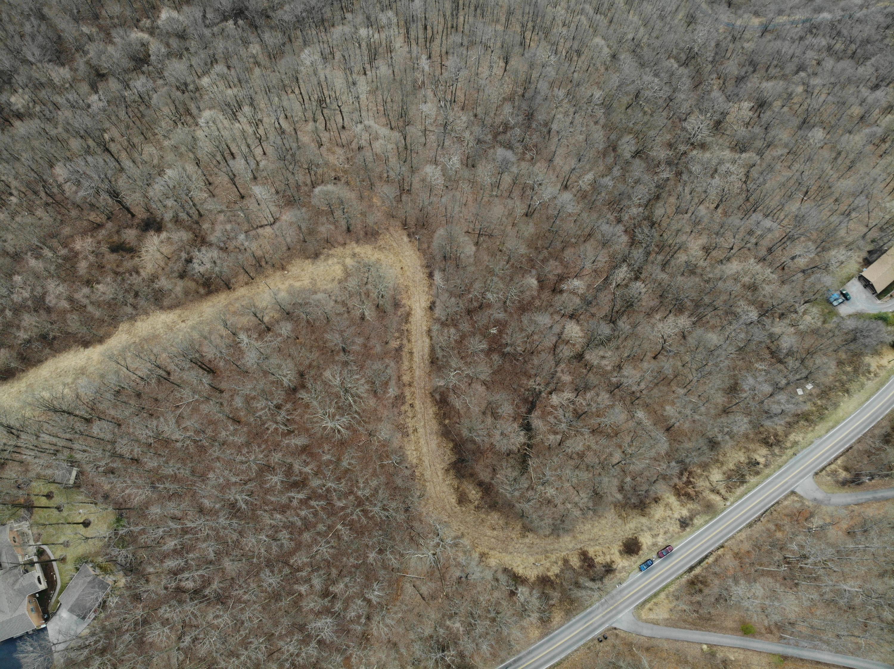 0 Archway Road Blue Ridge, VA 24064 - Photo 7 of 13