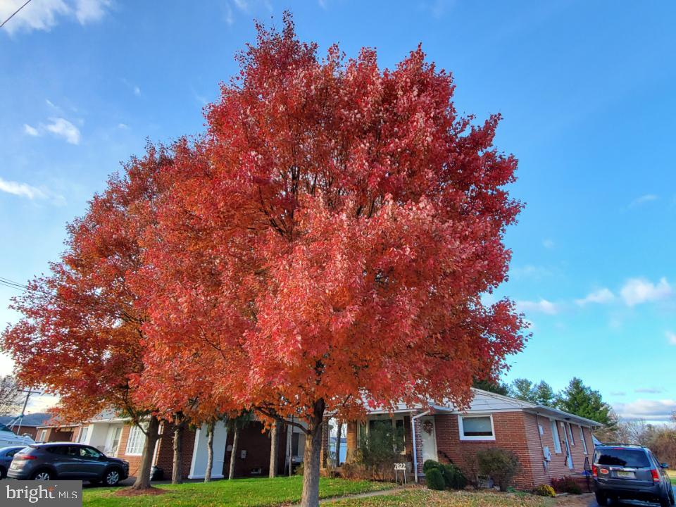 7822 Eddlynch Road Dundalk, MD 21222 - Photo 39 of 41 Autumn