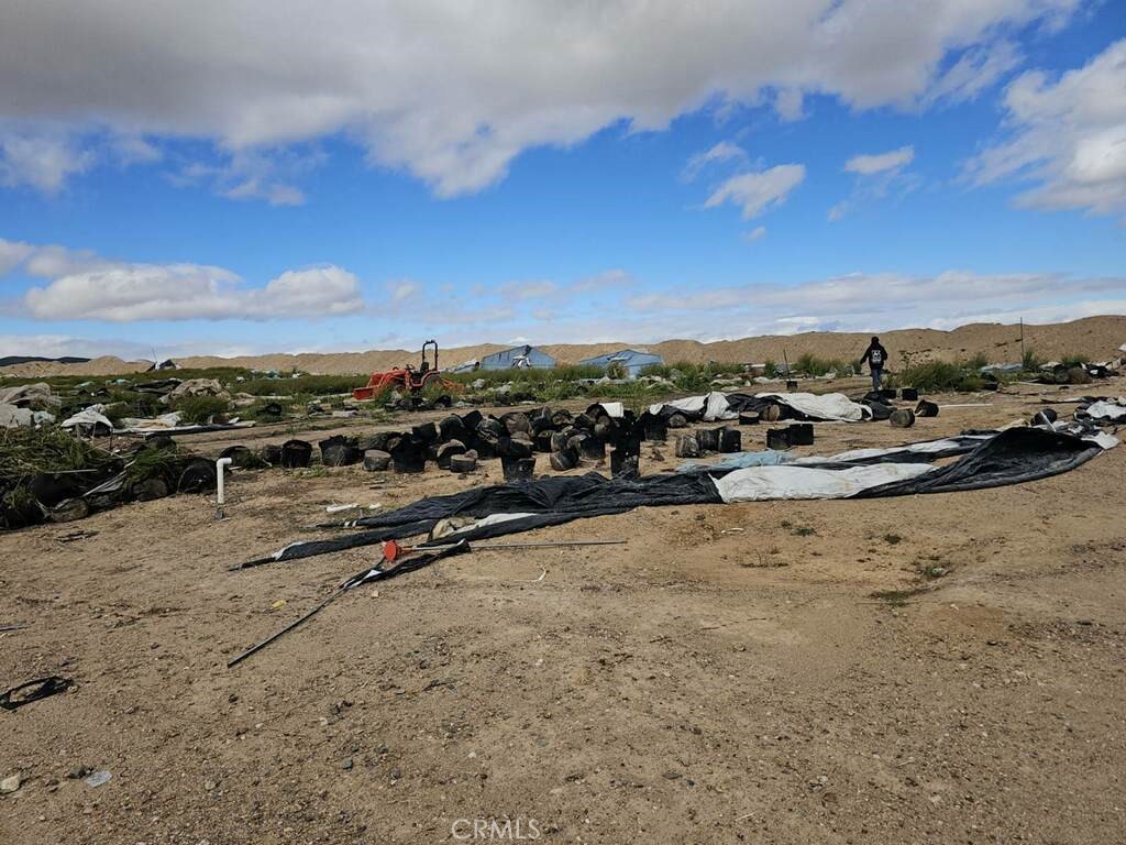 a view of a large body of water with lots of trees in the background
