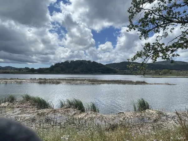 $1,995,000 | 124 Montego Key, Novato, CA 94949