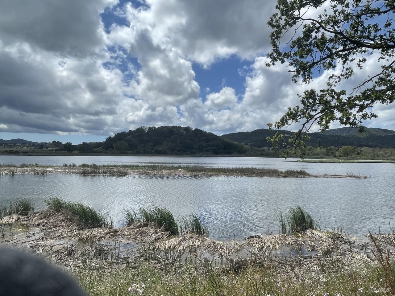 124 Montego Key Novato, CA 94949 - Photo 70 of 83