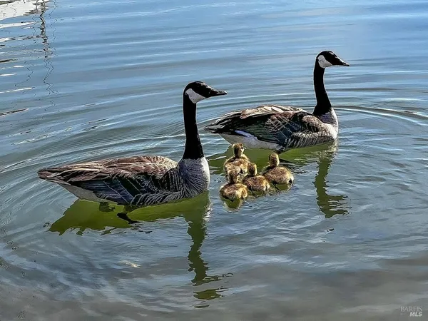 $1,995,000 | 124 Montego Key, Novato, CA 94949