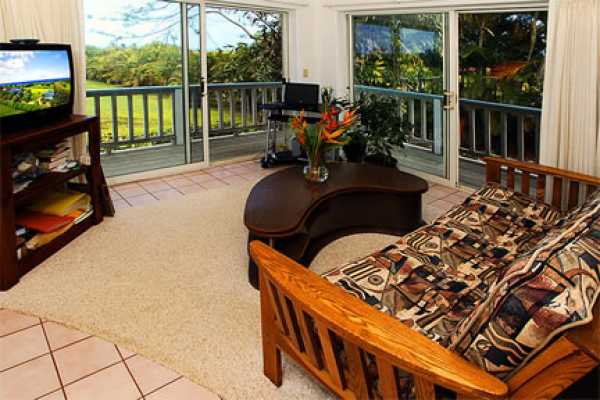 4640 B Kapuna Road Kilauea, HI 96754 - Photo 10 of 11 Gallery Image 10