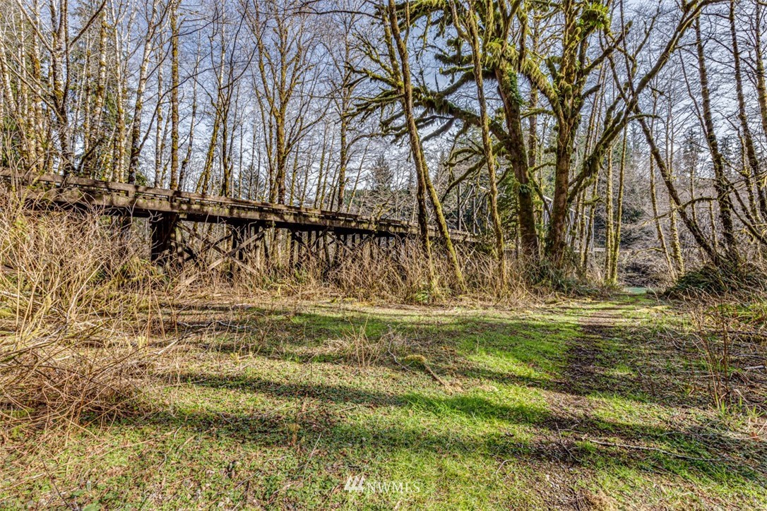 9999 Goodman Mainline Road Forks, WA 98331 - Photo 11 of 28 Gallery Image 11