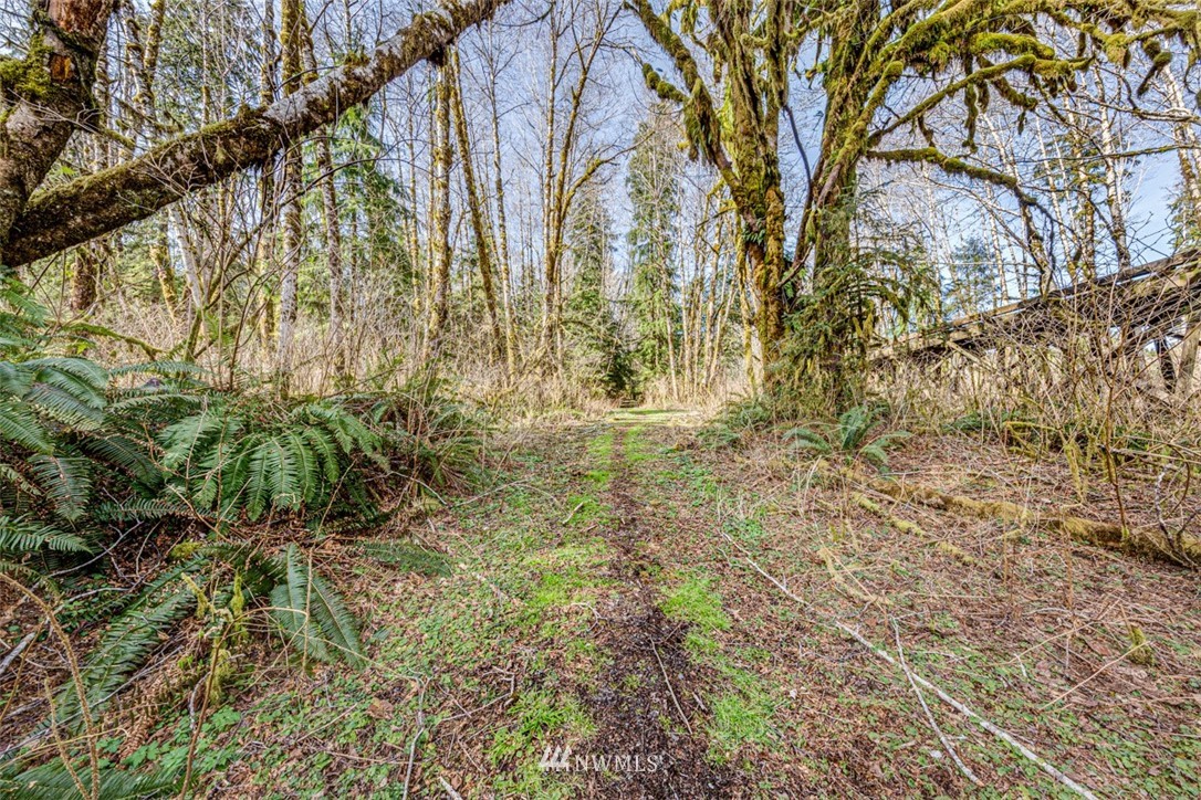 9999 Goodman Mainline Road Forks, WA 98331 - Photo 18 of 28 Gallery Image 18