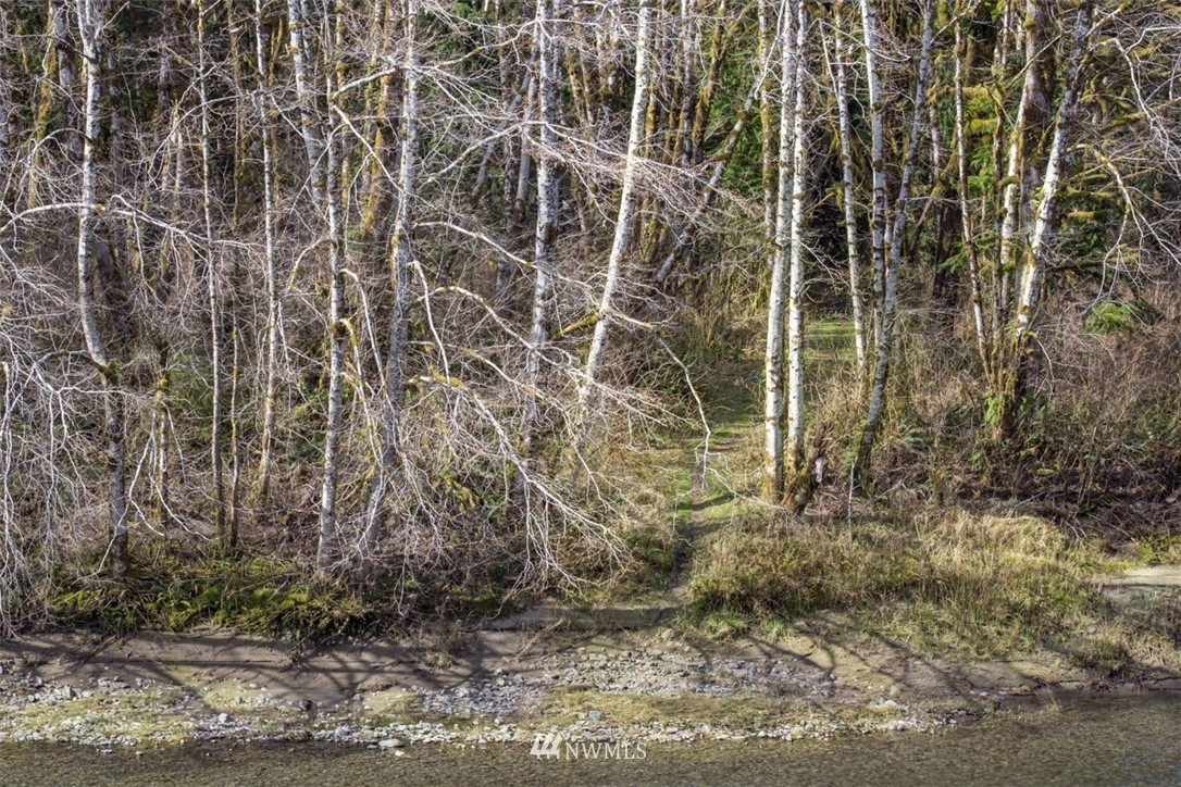 9999 Goodman Mainline Road Forks, WA 98331 - Photo 19 of 28 Gallery Image 19