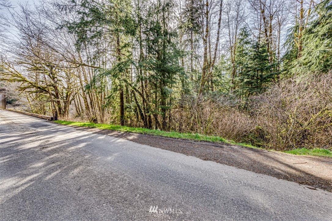 9999 Goodman Mainline Road Forks, WA 98331 - Photo 4 of 28 Gallery Image 4