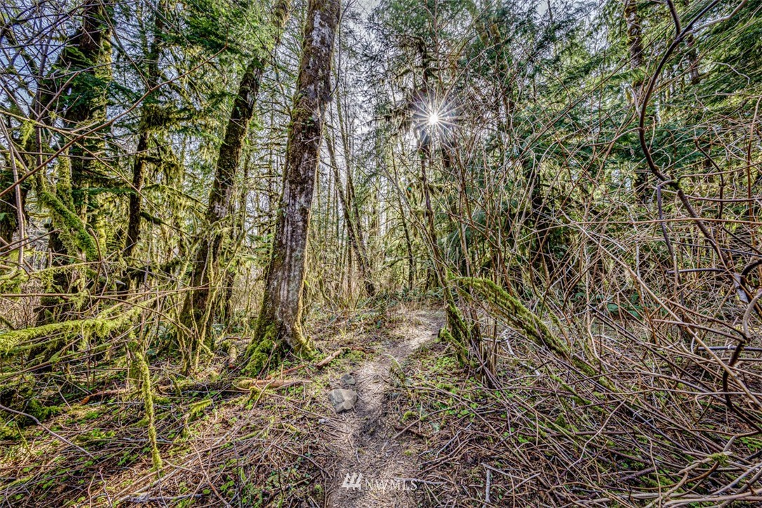 9999 Goodman Mainline Road Forks, WA 98331 - Photo 7 of 28 Gallery Image 7