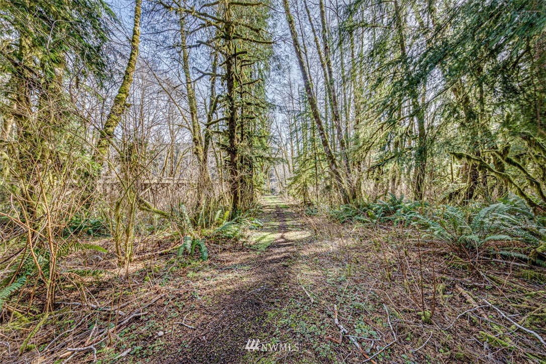9999 Goodman Mainline Road Forks, WA 98331 - Photo 9 of 28 Gallery Image 9