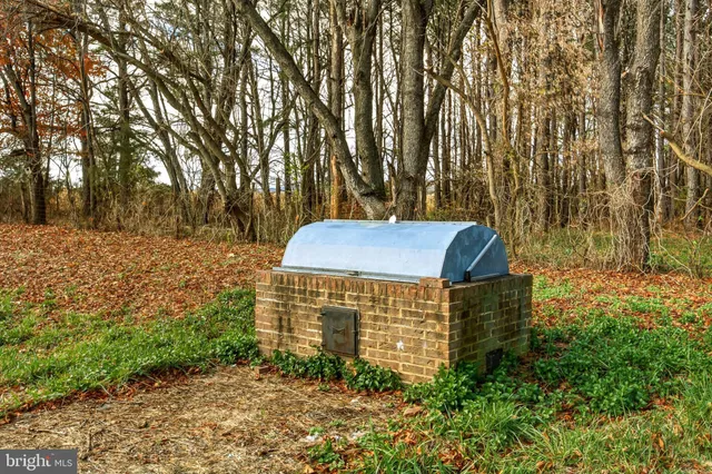 a view of an ocean and beach