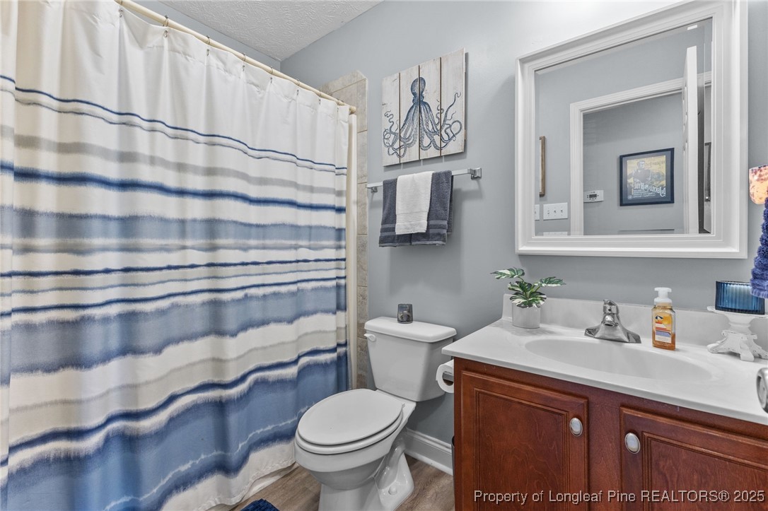 619 Cape Fear Road Raeford, NC 28376 - Photo 19 of 23 a bathroom with a sink a toilet and a mirror