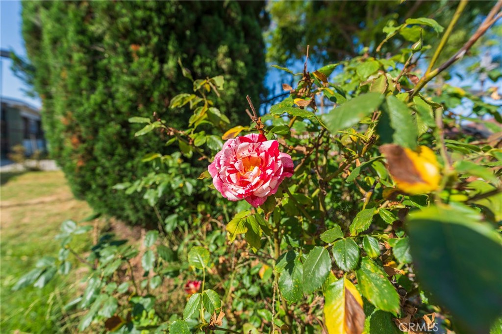 22428 Neptune Avenue Carson, CA 90745 - Photo 33 of 36