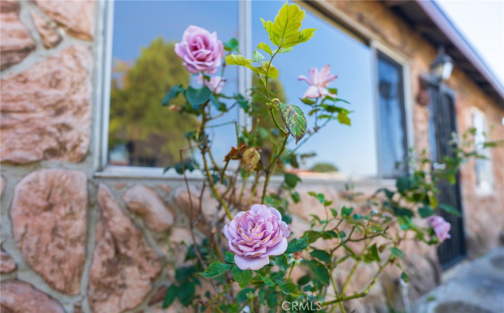 22428 Neptune Avenue Carson, CA 90745 - Photo 34 of 36 a vase of flowers sitting on a table