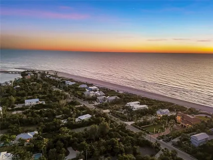 a view of small pond with palm trees