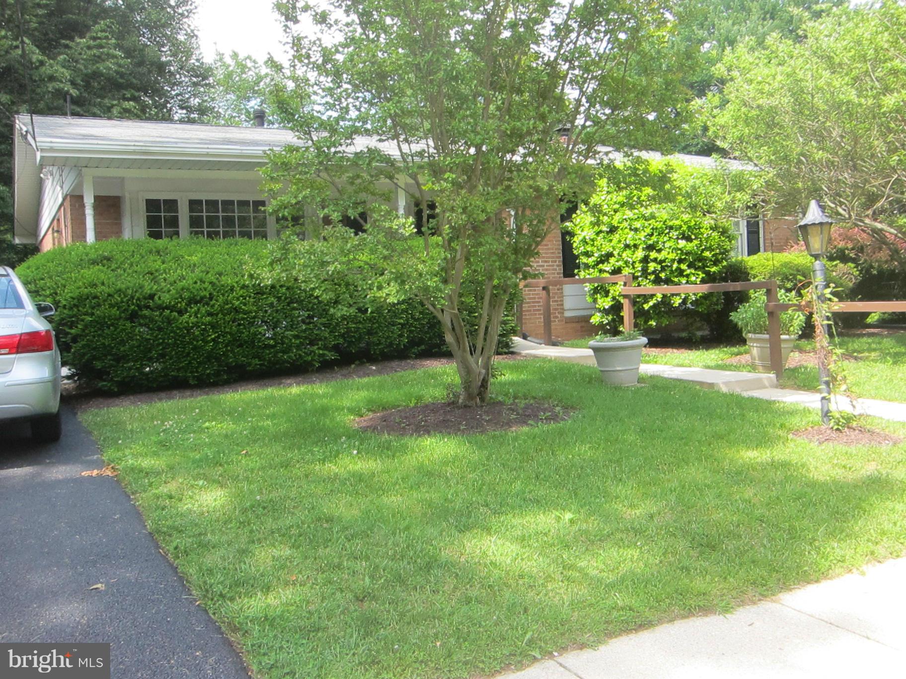 1803 Briggs Road Silver Spring, MD 20906 - Photo 1 of 19 a view of yard in front of house with trees